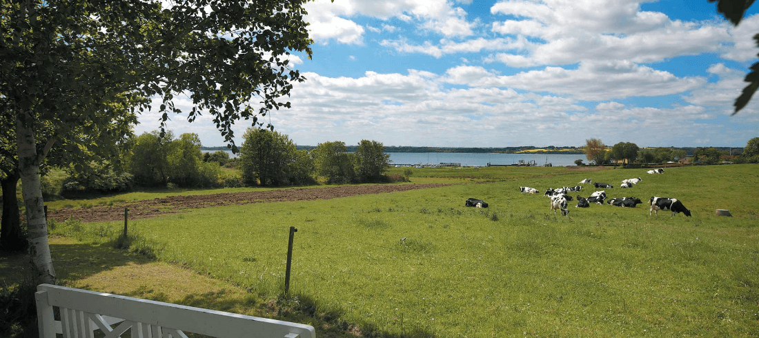 Barsø har fået jordvarme, og det luner – også på kontoen